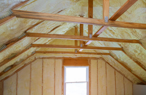 Best Eco-Friendly Insulation in Landrum, SC