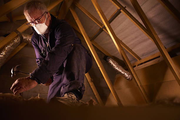 Best Specialized Insulation Services in Landrum, SC